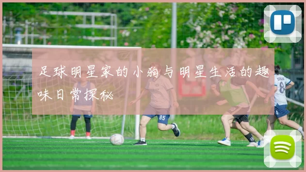 足球明星家的小狗与明星生活的趣味日常探秘
