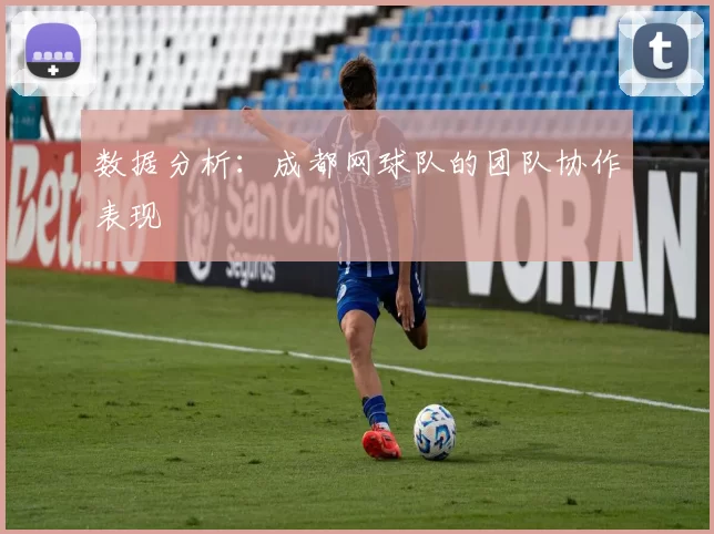 数据分析：成都网球队的团队协作表现