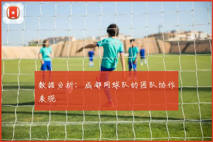 数据分析：成都网球队的团队协作表现