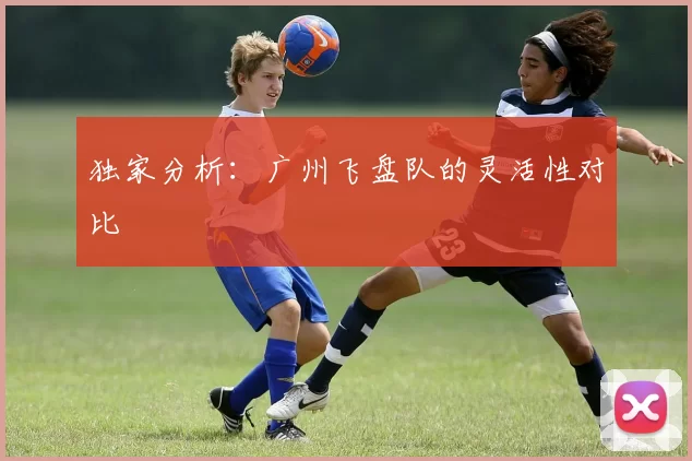 独家分析：广州飞盘队的灵活性对比
