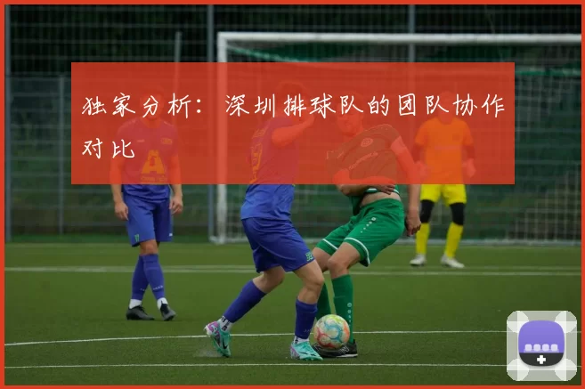 独家分析：深圳排球队的团队协作对比