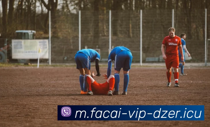 乐鱼体育品牌故事